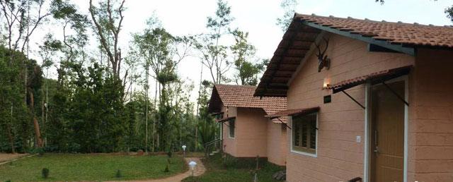 Coffee Camp Homestay photo 4