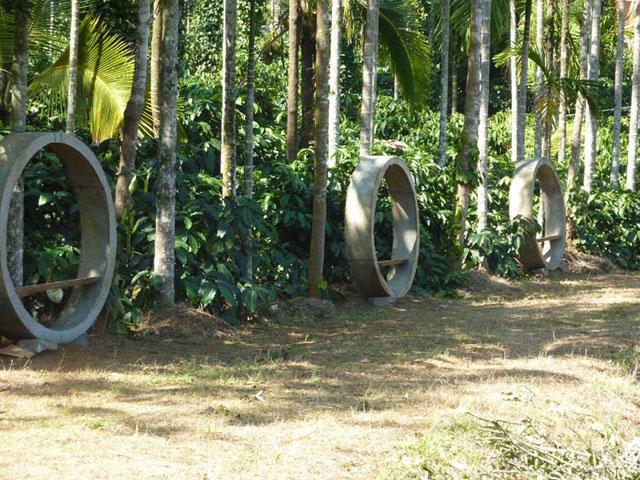 Coffee Camp Homestay photo 11