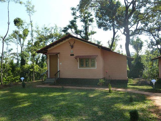 Coffee Camp Homestay photo 21