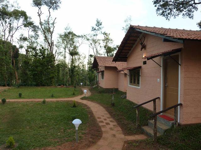 Coffee Camp Homestay photo 22
