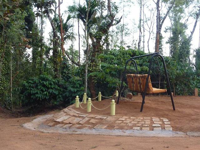 Coffee Camp Homestay photo 28