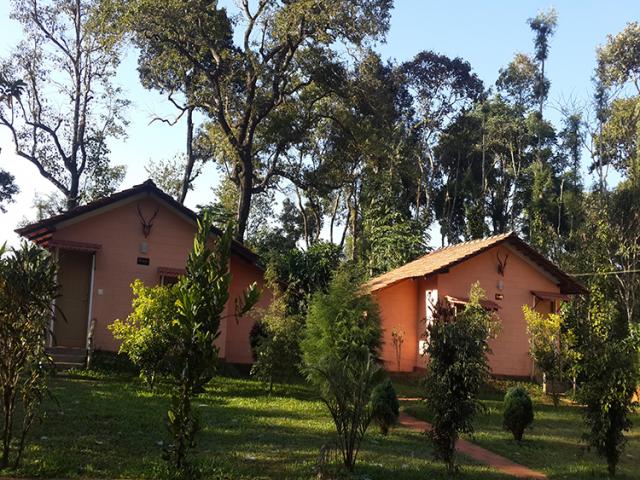 Coffee Camp Homestay photo 37
