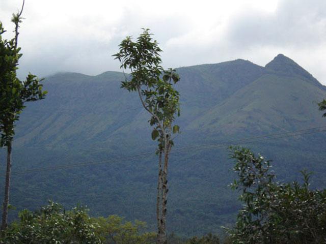 Shiveka Homestay photo 2