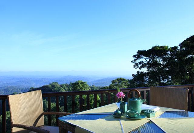The Tamara Resort photo 7