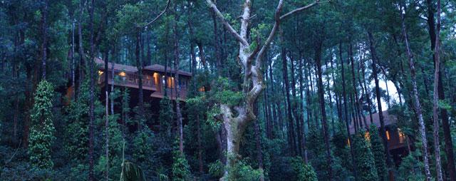 The Tamara Resort photo 11