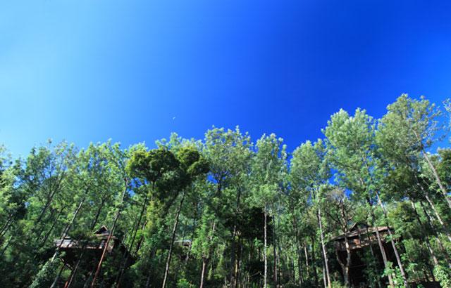 The Tamara Resort photo 30