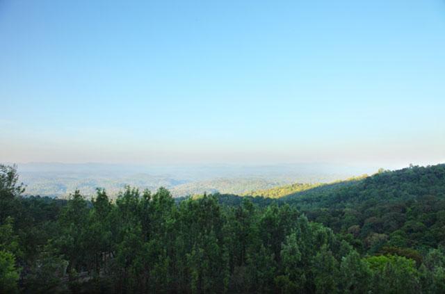 The Tamara Resort photo 32