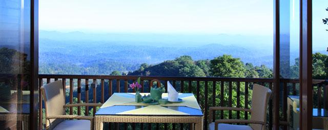 The Tamara Resort photo 35