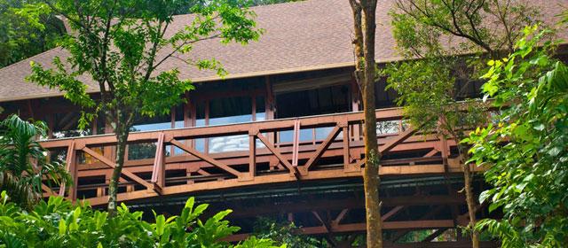 The Tamara Resort photo 41