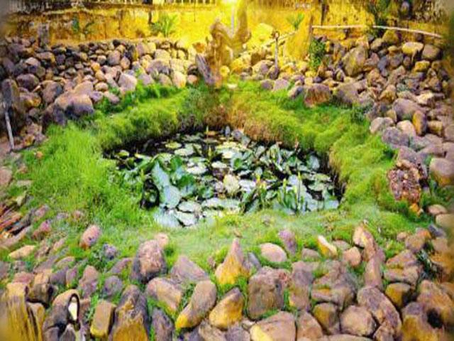 Kanaka Homestay Sringeri photo 19