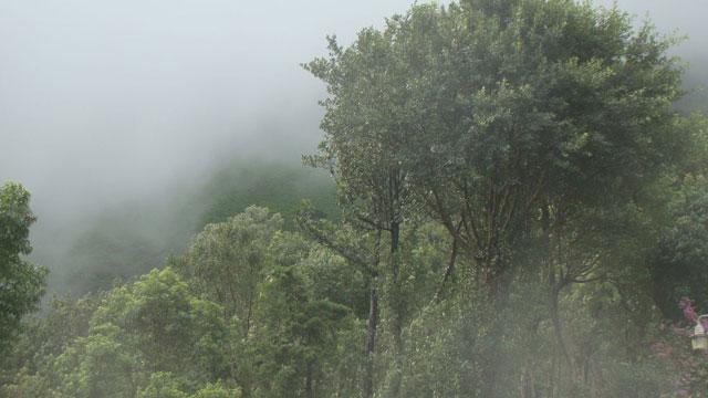 Oakridge Homestay photo 2