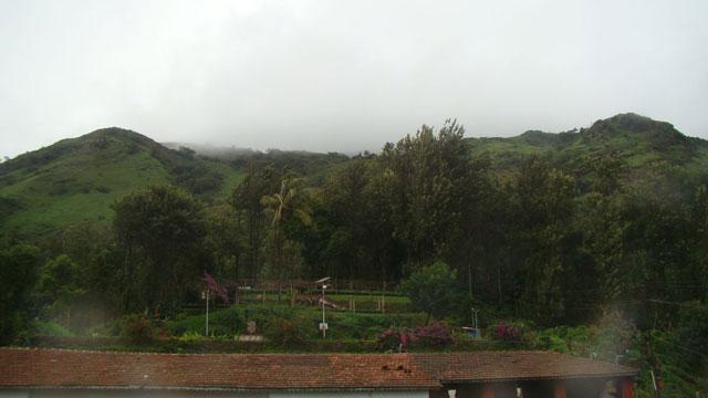 Oakridge Homestay photo 3