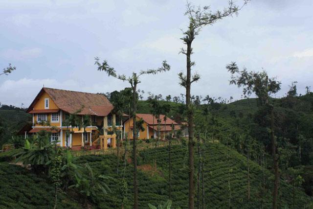 Meenmutty Heights Resort photo 11