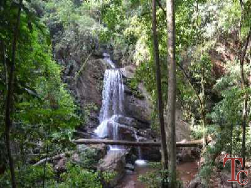 Foothills Homestay photo 12