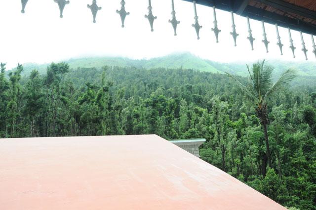 Foothills Homestay photo 31