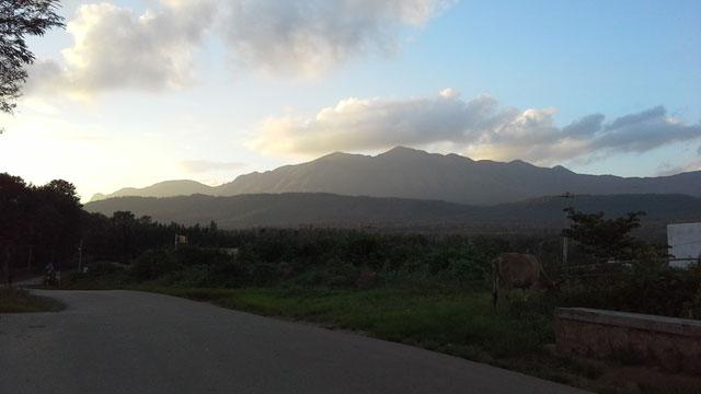 Foothills Homestay photo 35