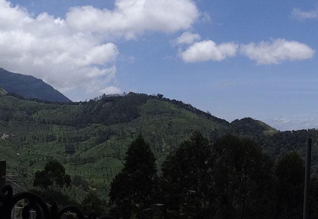 Rose Dale Homestay photo 2