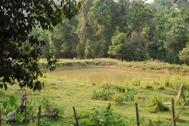 Camp Coorg Homestay photo 4
