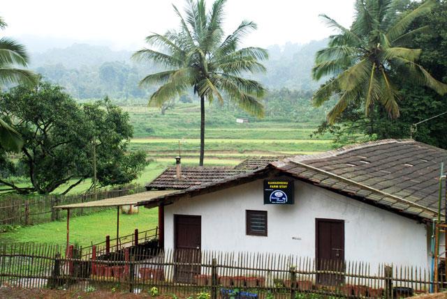 Camp Coorg Homestay