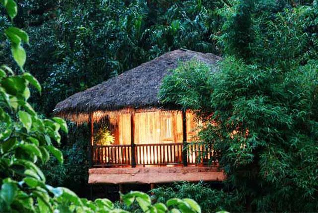 Banasura Hills Resort photo 2