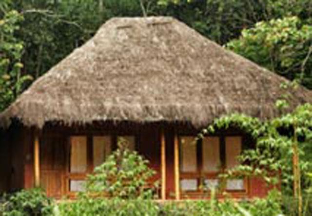 Banasura Hills Resort photo 4