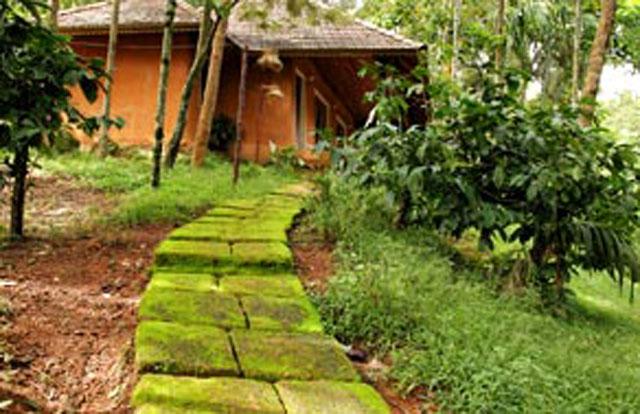 Banasura Hills Resort photo 13