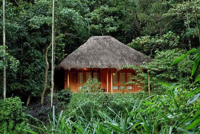 Banasura Hills Resort photo 14