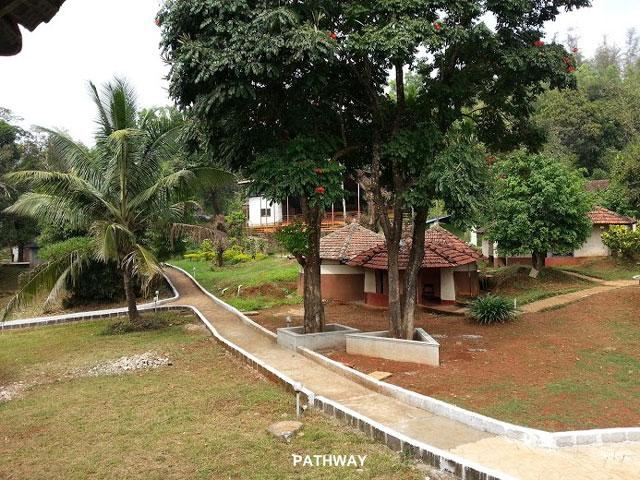 Silent Valley Resort photo 31