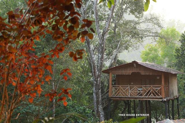 Silent Valley Resort photo 36