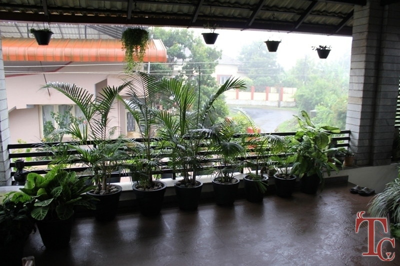 West Wind Homestay photo 8