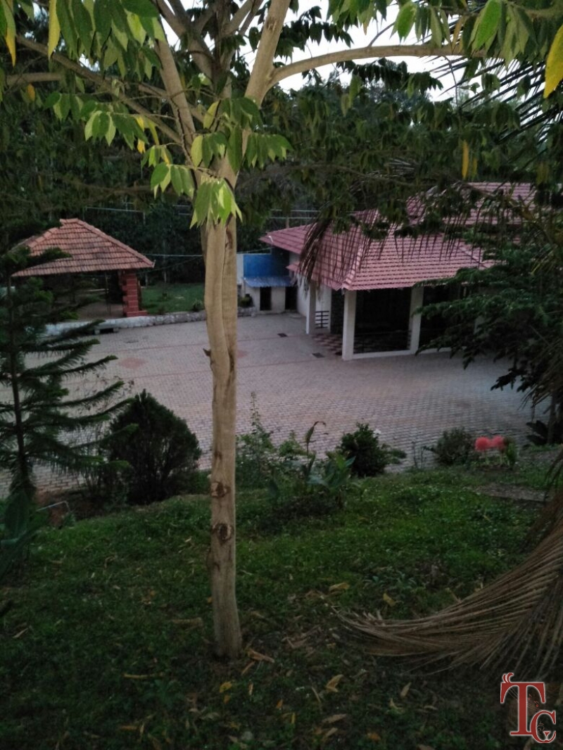 Nature Light Homestay photo 7