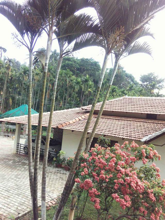 Nature Light Homestay photo 24