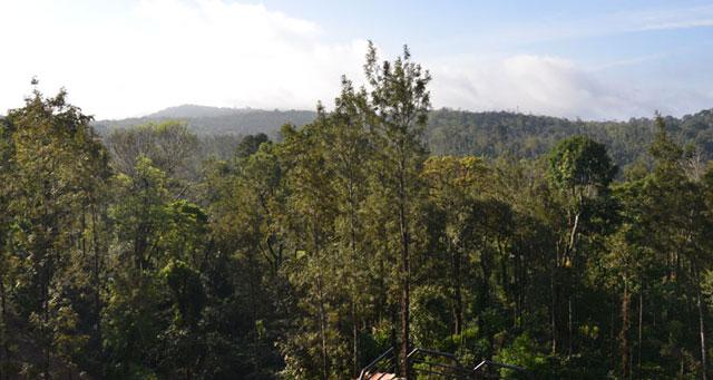 Ibbani Cadu Homestay photo 16