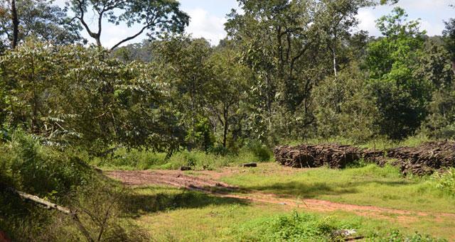 Ibbani Cadu Homestay photo 17