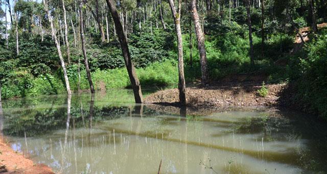 Ibbani Cadu Homestay photo 18