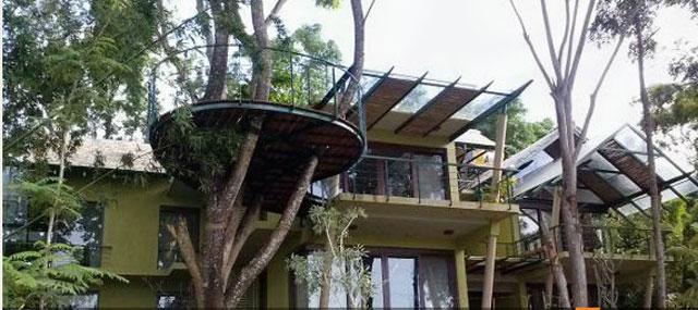 Water Woods Lodges photo 5