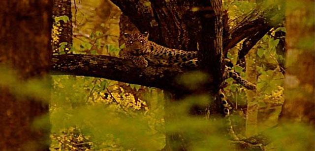 Water Woods Lodges photo 8