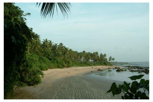 Bambolim Beach Resort photo 3