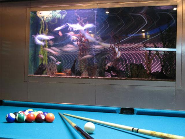 Sonesta Inns photo 2