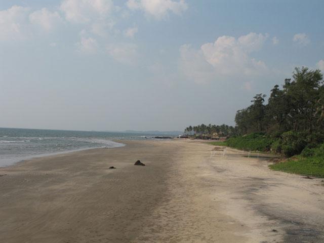 Sonesta Inns photo 11