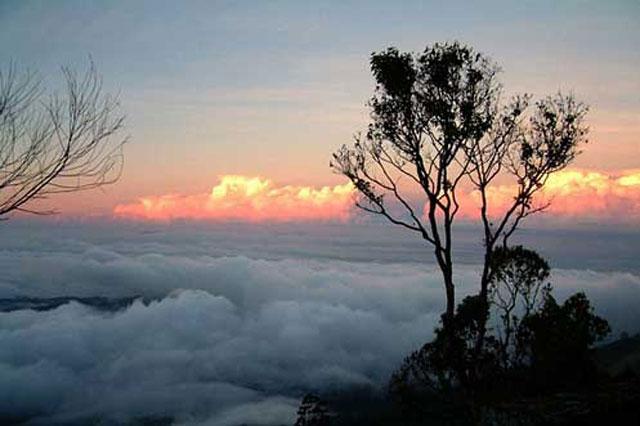 Holiday Heaven Resort photo 7