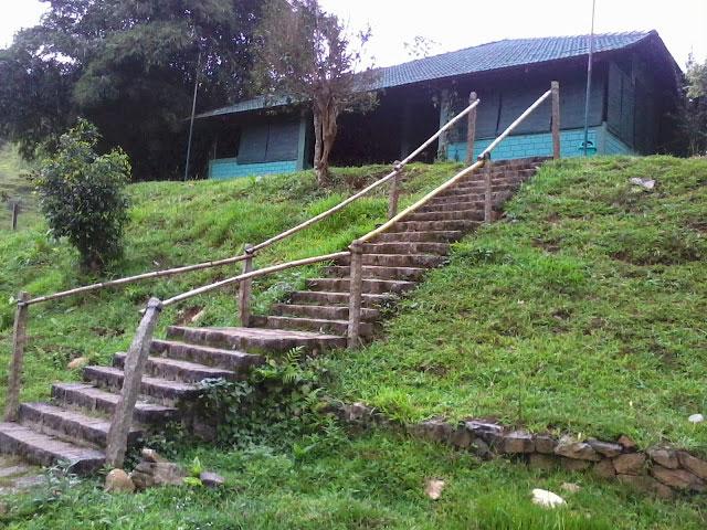 Orchard Holiday Resort photo 9