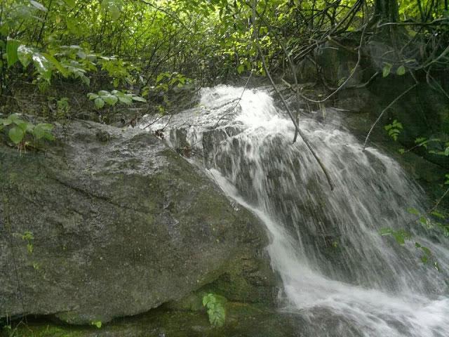 Orchard Holiday Resort photo 13