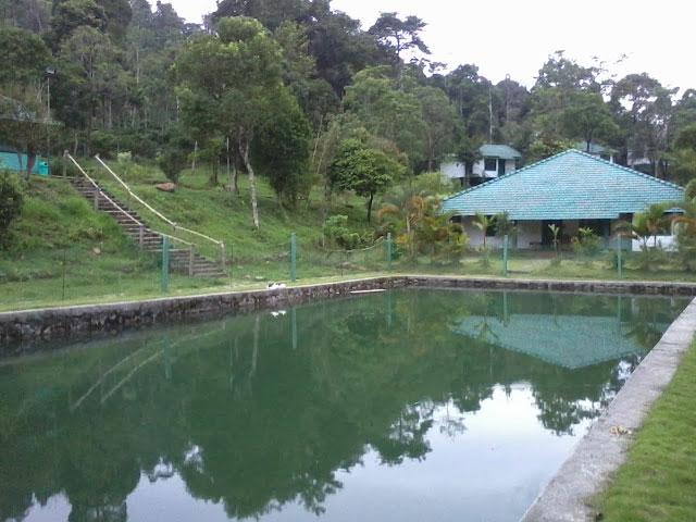 Orchard Holiday Resort photo 15