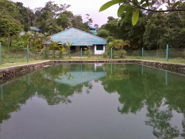 Orchard Holiday Resort photo 17