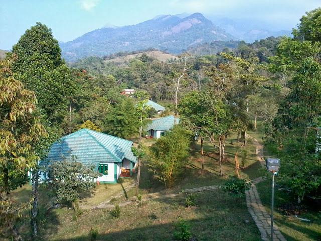 Orchard Holiday Resort photo 21