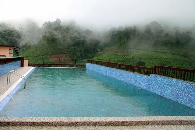 Wayanad Gate Hotel photo 21
