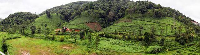 Wayanad Gate Hotel photo 25
