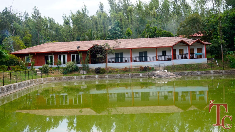 Coorg Little Jungle Homestay photo 8