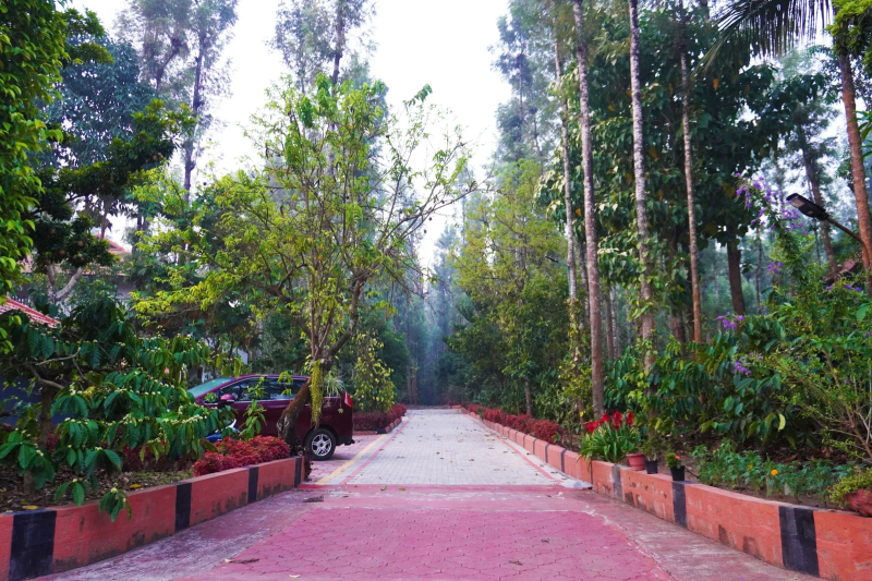 Coorg Little Jungle Homestay photo 22